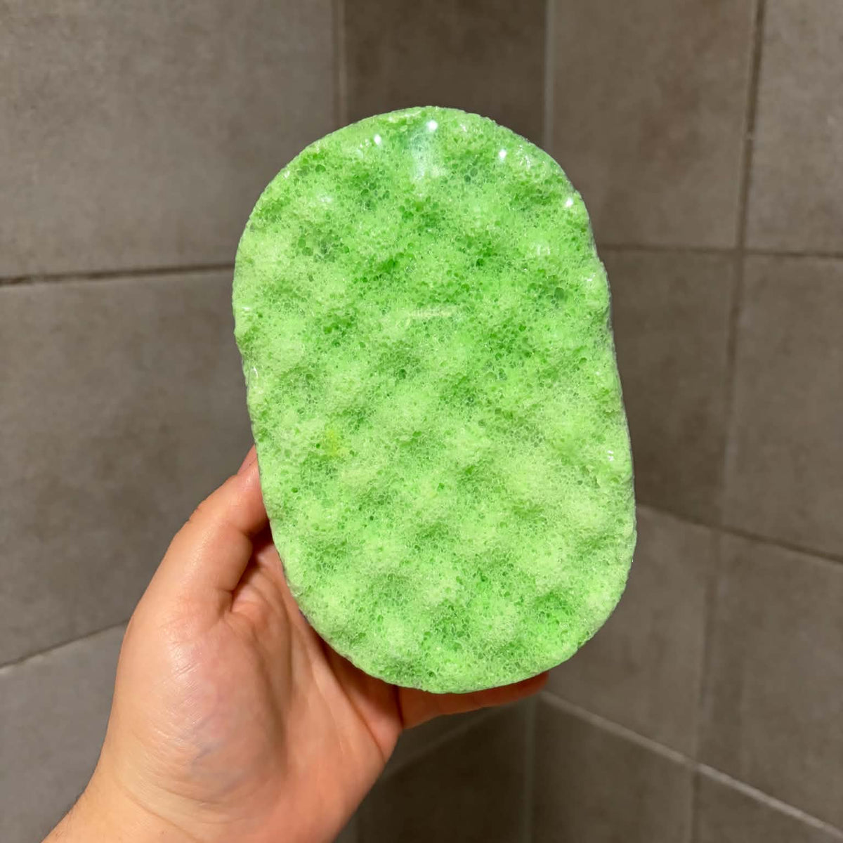 Mint & Tea Tree Soap Sponge