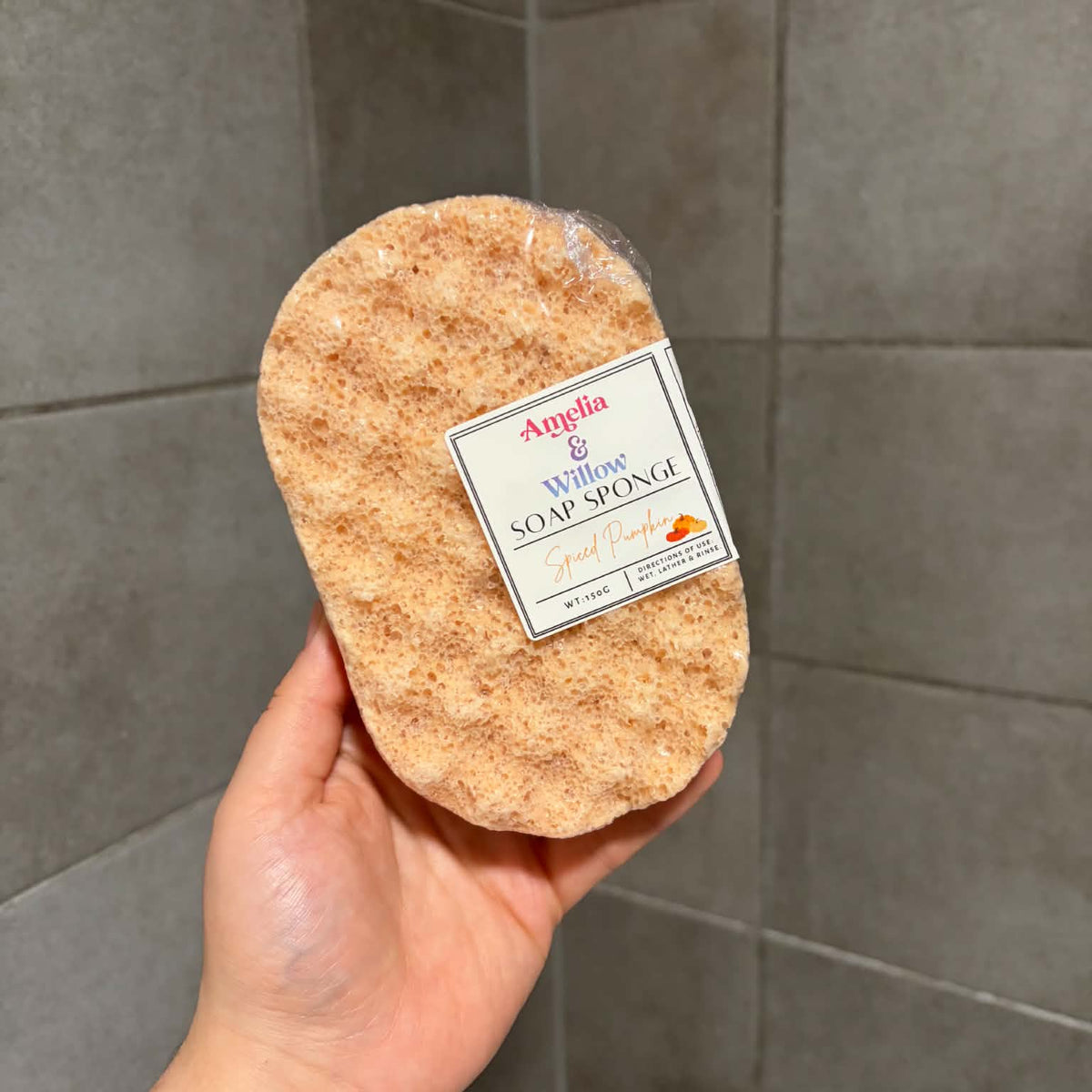 Spiced Pumpkin Soap sponge