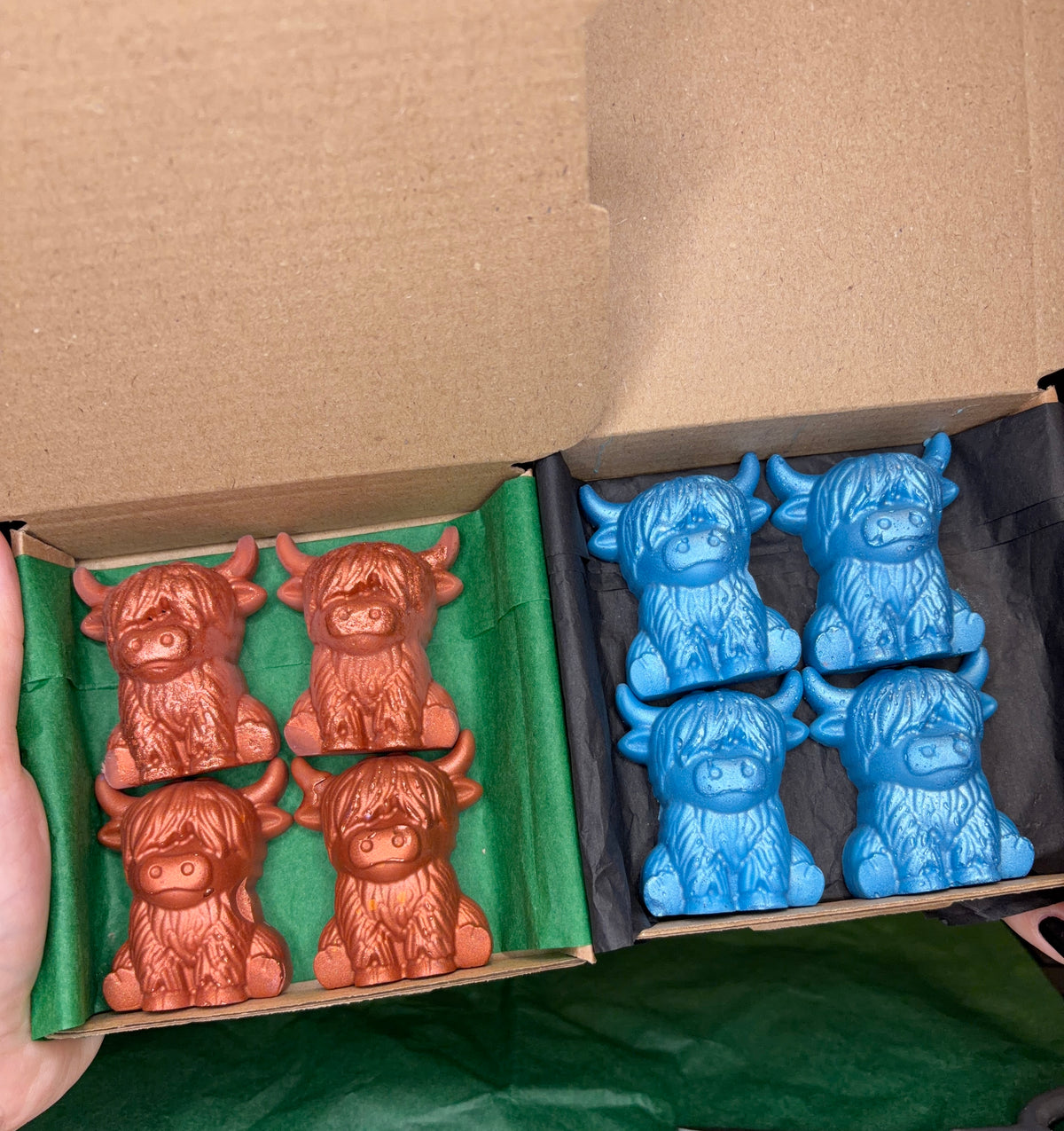 Highland Cow Wax Melts – Box of 4 | Choose Your Scent